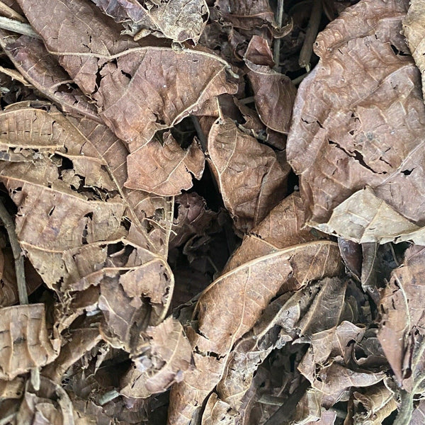 Feuilles de Djeka séchées