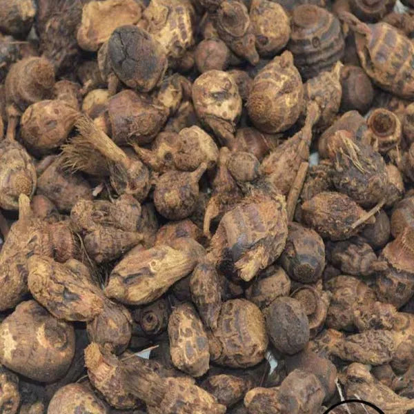 Boule de gowé